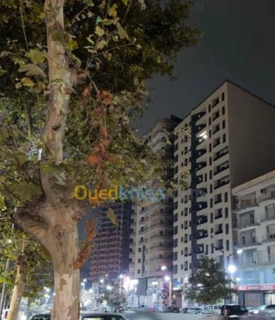 Rent Commercial Oran Bir el djir
