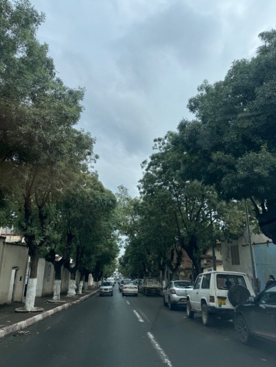 Vente Terrain Alger Hussein dey