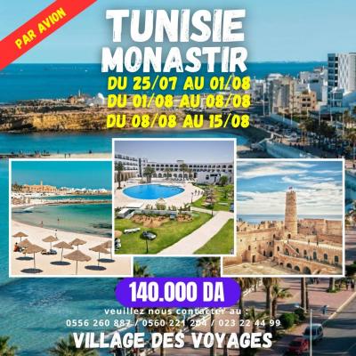 Tunisie - Par avion