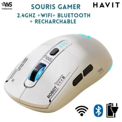 Sourie Gamer Sans Fil HAVIT GameNote GAMS64WB