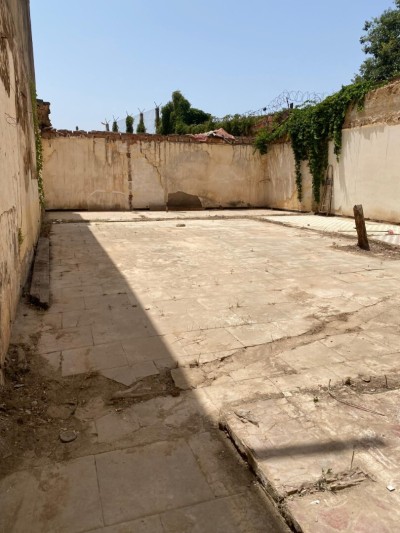 Vente Terrain Tipaza Kolea