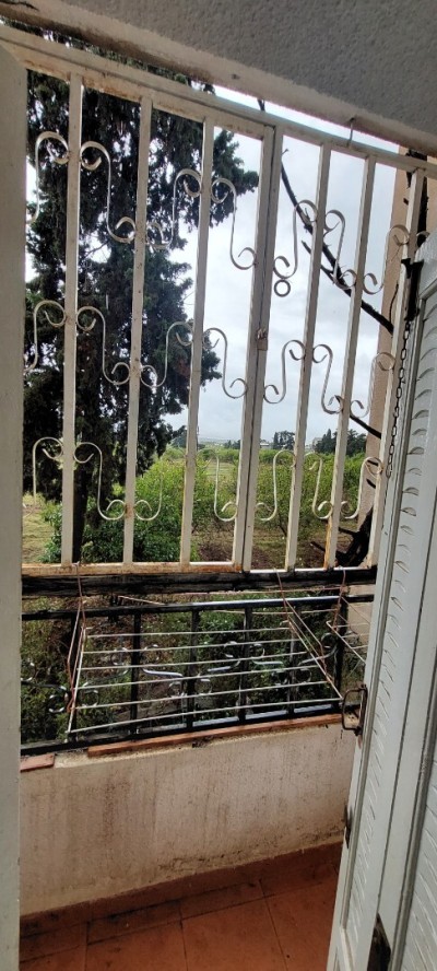 كراء شقة 3 غرف الجزائر سطاوالي