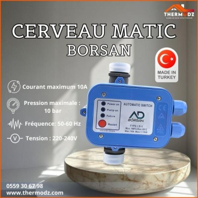 Cerveau Pompe à Eau