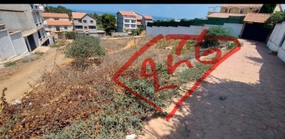 بيع أرض تيبازة تيبازة