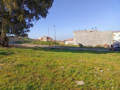 Vente Terrain Alger Dely brahim