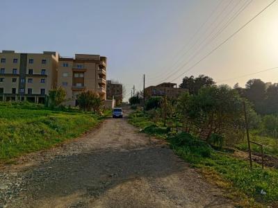 Vente Terrain Alger Souidania