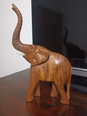 decoration-amenagement-elephant-en-bois-ebene-afrique-zeralda-alger-algerie