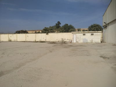 Location Hangar Alger Birtouta