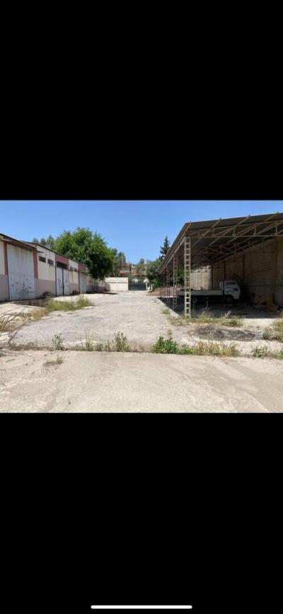 Vente Terrain Constantine Constantine