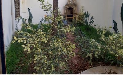 Sell Villa Alger Cheraga