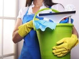 cleaning-gardening-entreprise-de-nettoyage-femme-menage-a-domicile-societe-serviceعاملات-تنظيفعاملة-عمال-نظافة-alger-centre-ain-benian-naadja-taya-bab-el-oued-algeria