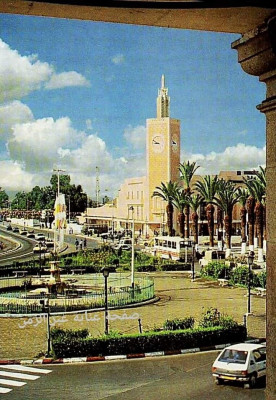 environnement-البحث-عن-منصب-عمل-annaba-algerie