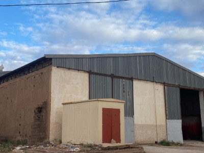 usine-vente-saida-ain-el-hadjar-algerie