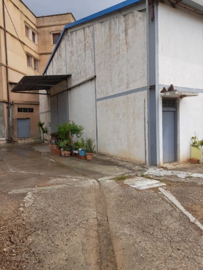 Rent Hangar Alger Khraissia