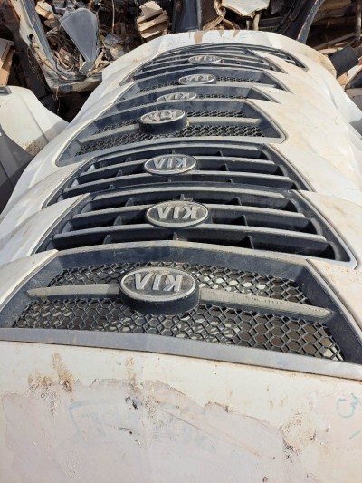  Casse Auto véhicules asiatique 