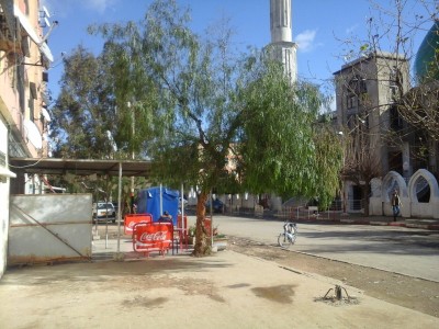 Sell Commercial Blida Ouled yaich