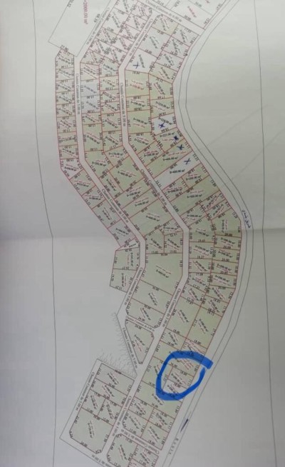 Vente Terrain Blida Bouinan