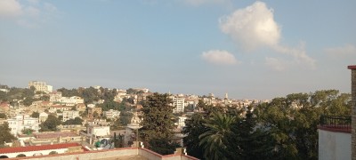 بيع أرض البليدة أولاد سلامة