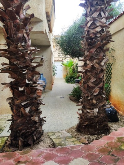 بيع فيلا الجزائر زرالدة