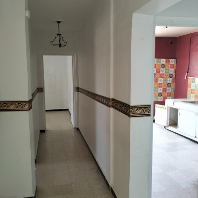 appartement-location-f3-alger-les-eucalyptus-algerie