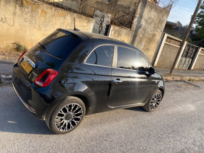 autre-fiat-500-2023-constantine-algerie