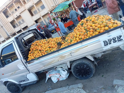 camionnette-dfsk-mini-truck-2013-sc-2m50-sidi-ayad-bejaia-algerie