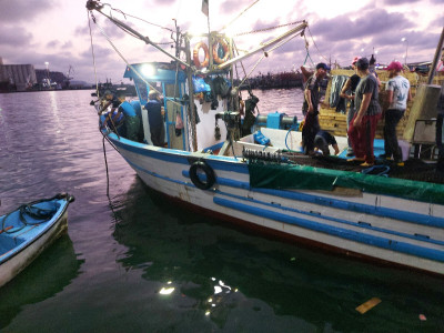 barques-sardinier-ghazaouet-tlemcen-algerie