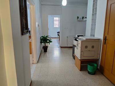 كراء محل الجزائر حيدرة