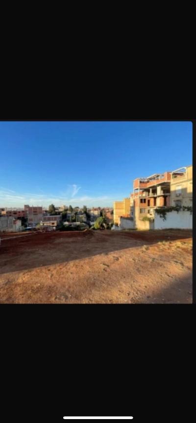 Vente Terrain Alger Saoula