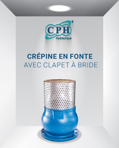 CRÉPINE EN FONTE AVEC CLAPET À BRIDE