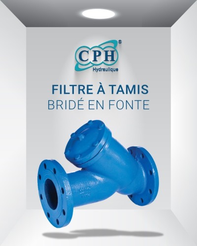FILTRE À TAMIS BRIDÉ EN FONTE