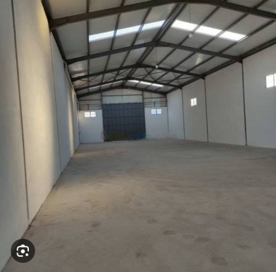 hangar-cherche-location-algerie