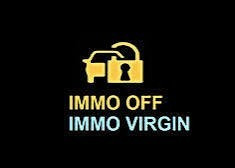 SERVICE IMMO OFF / VIRGIN ALL MODELS ECU AUTO