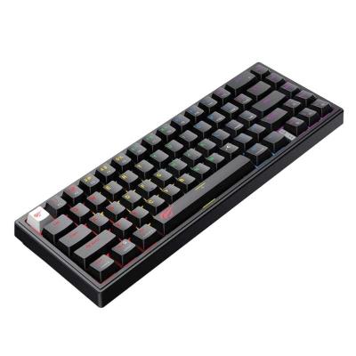 CLAVIER GAMER MECANIQUE HAVIT 67 KEYS RED SWITCH  KB 874