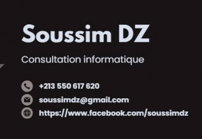 informatique-internet-freelancer-consultant-it-oran-algerie