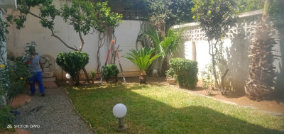 nettoyage-jardinage-jardinier-cheraga-alger-algerie