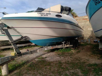 bateaux-barques-sunbird-usa-ben-aknoun-alger-algerie