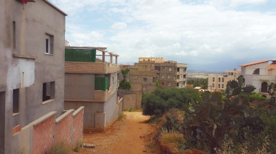 terrain-vente-alger-saoula-algerie