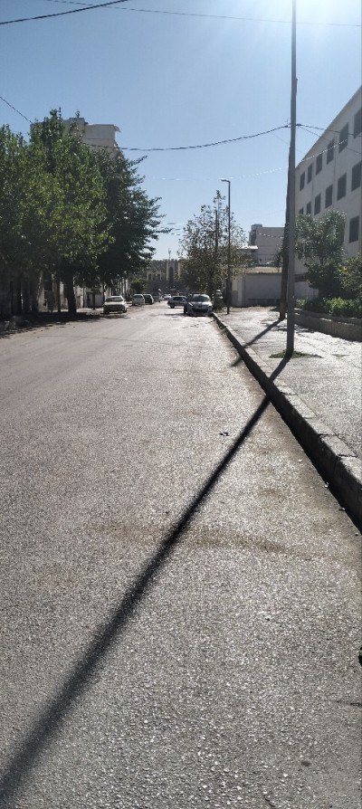 Vente Villa Alger Les eucalyptus