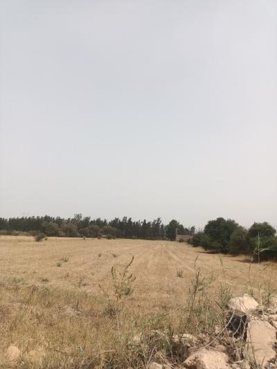 Sell Land Tipaza Kolea