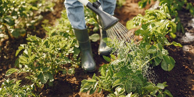 Jardinage et aménagement des espaces verts pour particulier et société, entreprise de nettoyage