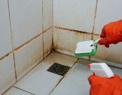 Femme de ménage groupe de nettoyage qui se déplace à domicile, entreprise de nettoyage Alger Blida