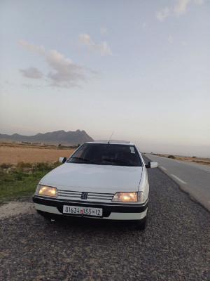 voitures-peugeot-405-1992-el-meridj-tebessa-algerie