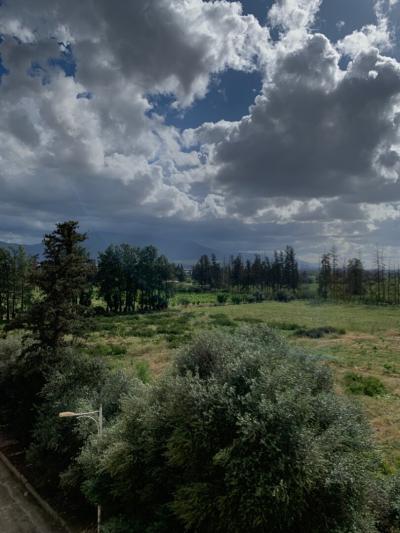 Vente Villa Blida Chebli