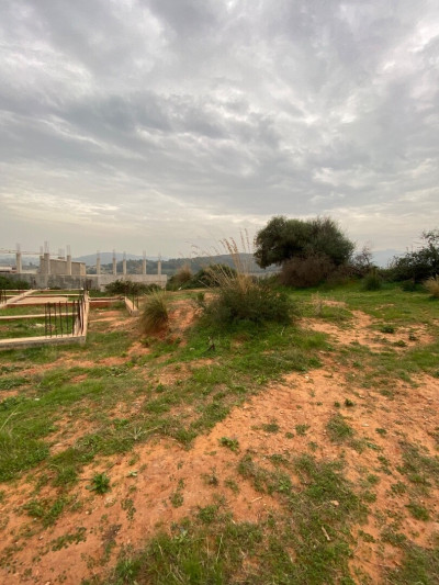 terrain-vente-boumerdes-algerie