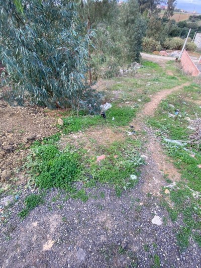 terrain-vente-boumerdes-tidjelabine-algerie