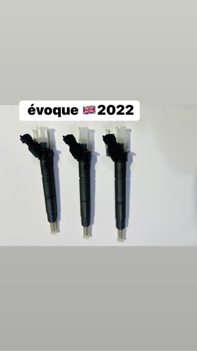  injecteurs Range Rover 