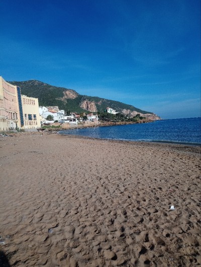 Location Immeuble Tipaza Tipaza