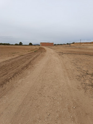 Vente Terrain Agricole Sidi Bel Abbès Amarnas