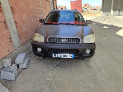 tout-terrain-suv-hyundai-santafe-2004-bougara-blida-algerie